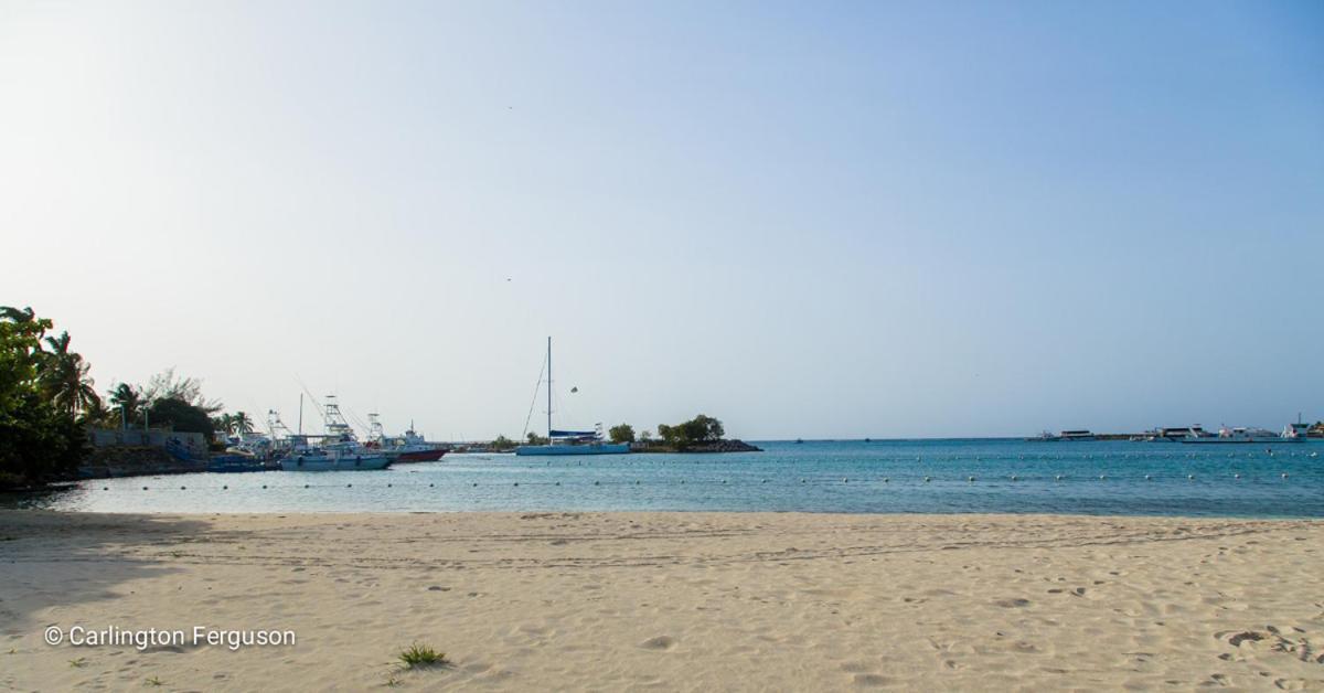 Turtle Beach Towers Ocho Rios Zewnętrze zdjęcie